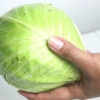 Cucinare il cavolo