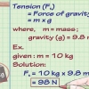 Calcolo delle forze in fisica