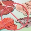 Diventa un lacto-ovo vegetariano