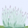 Lavanda da potatura