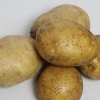 Purè di patate facile da preparare