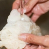 Preparare il menu