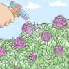 Tieni le formiche lontane dalle peonie