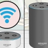 Riproduci musica su più dispositivi con alexa