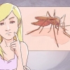 Distinguere tra malaria, dengue e chikungunya