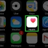 Guarda quante miglia hai percorso su un iphone