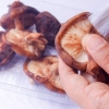 Funghi essiccati