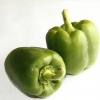 Conserve di peperoni
