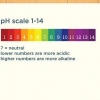 Leggi le strisce reattive per il ph