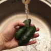 Conservazione delle fette di cetriolo