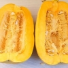 Essiccare i semi di zucca