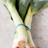 Preparare i porri