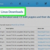 Installa puppy linux sul tuo pc