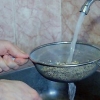 Cottura della quinoa in una pentola per riso