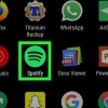 Nascondi gli artisti riprodotti di recente su spotify su android
