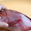 Preparare il dentice