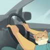 In viaggio con un gatto