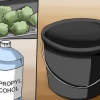 Olio di rick simpson