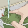 Mantieni l'insalata fresca