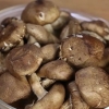 Preparare shiitake