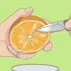 Semi d'arancia in germinazione