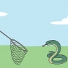 Catturare serpenti
