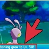 Evolvi sliggoo