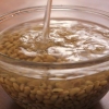 Fare il latte di soia