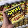 Prepara lo spam