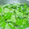 Congelare gli spinaci