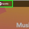 Utilizzo di spotify