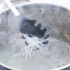 Fare sukiyaki