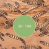 Allevamento di super vermi