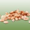 Coltivazione di erba di grano