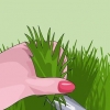 Premendo wheatgrass