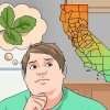 Identificazione del toxicodendron diversilobum