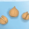 Piantare bulbi di tulipano