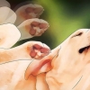 Sbarazzati dei pidocchi dei cani