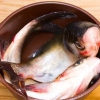 Prepara il pesce