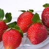 Conserve alimentari