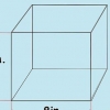 Prendersi cura delle lumache