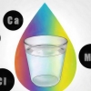 Testare la qualità dell'acqua