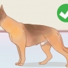 Sapere se un maschio è fertile