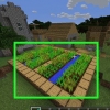 Raccogliere carote in minecraft