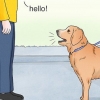 Assicurati che i cani non abbaiano alle persone