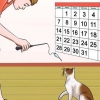 Impedisci al tuo gatto di attaccarti