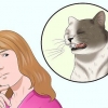 Assicurati che il tuo gatto non si spezzi da solo