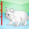 Fare in modo che i gattini smettano di miagolare