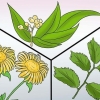Prevenire i periodi pesanti: si può fare naturalmente?