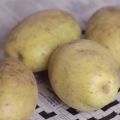 Conservare le patate